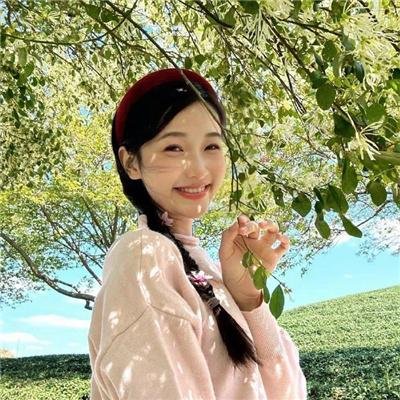 完美武器2020